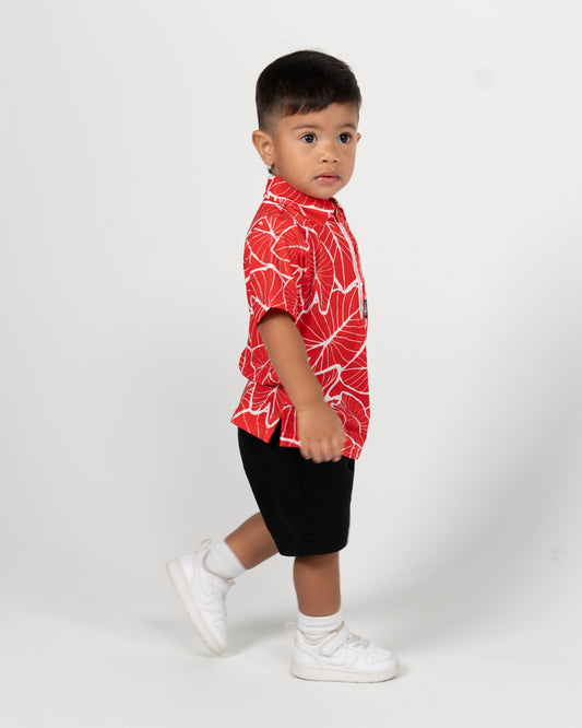 Red Kalo (Keiki)